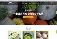 务川营销网站